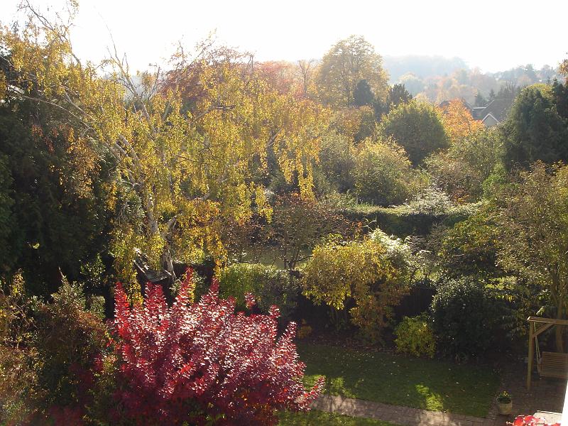 m Christmas 23rdDec2007 (2).JPG